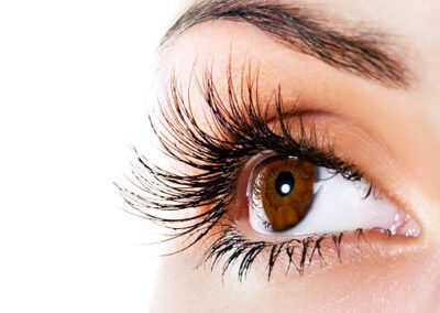 IECAB Lash & Brow Tint & Lash lift